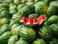 吃瓜网官网