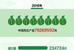 吃瓜群众在七零 吃瓜网站能打开的网站免费,免费畅游的瓜界乐园